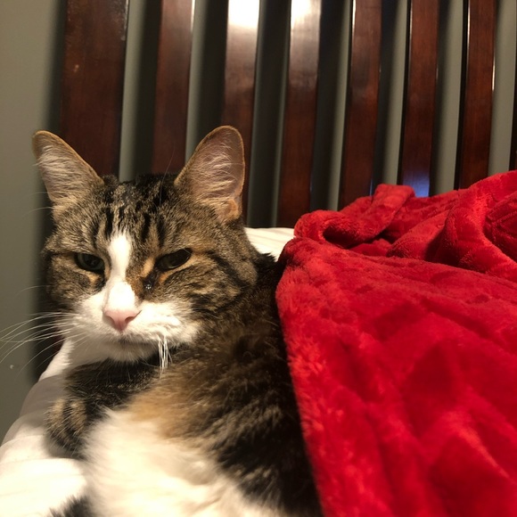 Meet Your Posher! - Picture 3 of 3